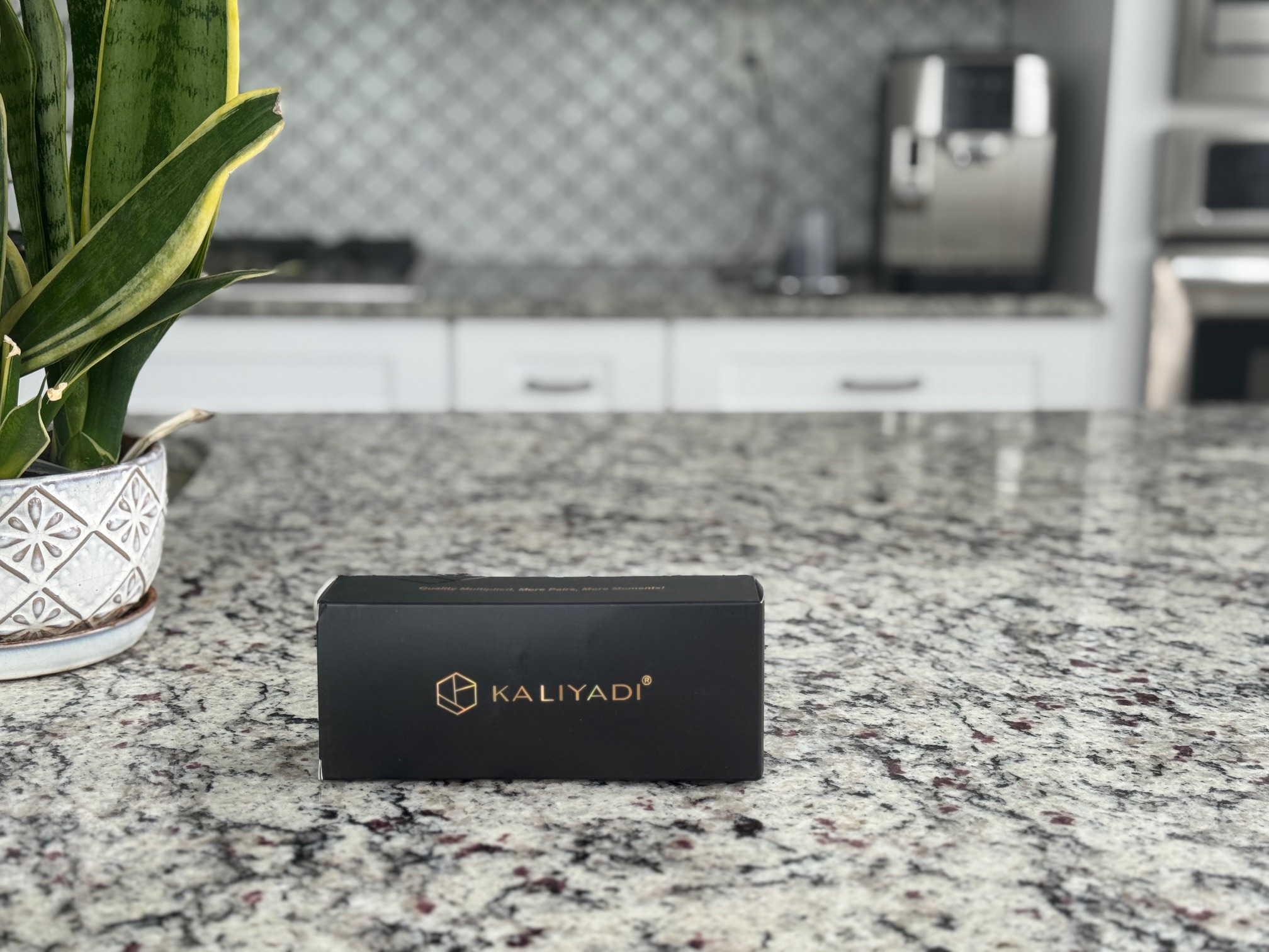 Kasa Apple HomeKit Smart Dimmer Switch KS220P3 Review